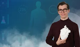 Организм человека