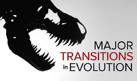 Основные этапы эволюции