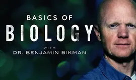 Основы биологии