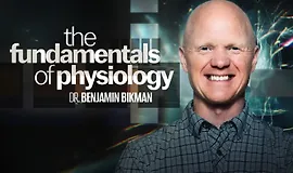 Основы физиологии