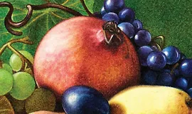 Основы рисования цветными карандашами