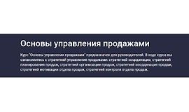 Основы управления продажами logo