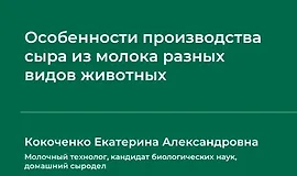 Особенности производства сыра из молока разных видов животных