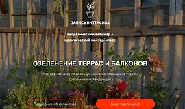 Озеленение террас и балконов