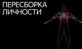 Пересборка личности VIP