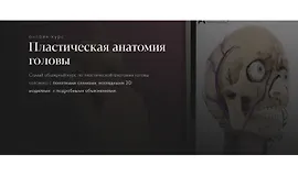 Пластическая анатомия головы