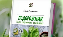 Подорожник