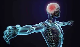 Понимание человеческого тела: Введение в анатомию и физиологию, 2-е издание