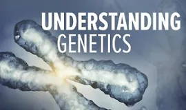 Понимание генетики: ДНК, гены и их практическое применение