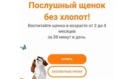 Послушный щенок без хлопот!