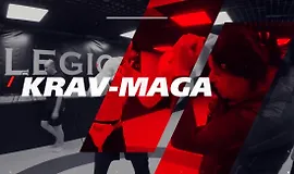 Приемы и техники Крав-мага. Ударная техника