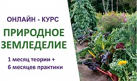 Природное земледелие