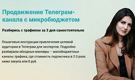 Продвижение Телеграм-канала с микробюджетом logo