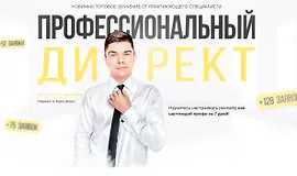 Профессиональный директ