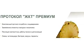 Протокол «ЖКТ» Премиум