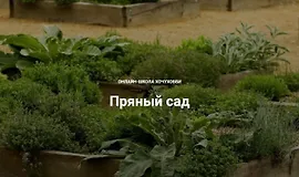 Пряный сад