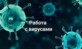 Работа с вирусами logo