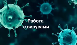 Работа с вирусами