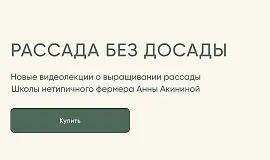 Рассада без досады. Овощная рассада