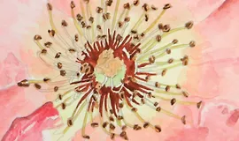 Реалистичные акварели шаг за шагом