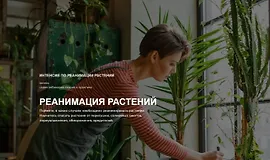 Реанимация растений