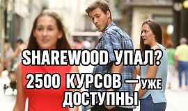 Sharewood (Шервуд) не работает? Альтернатива с 2500 бесплатными курсами уже здесь logo