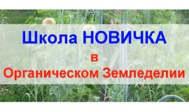 Школа новичка в органическом земледелии