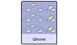Школа logo