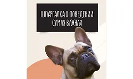 Шпаргалка о поведении