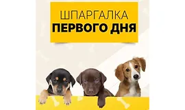 Шпаргалка первого дня