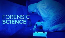 Следы улик: как работает судебная экспертиза