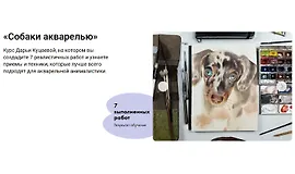 Собаки акварелью