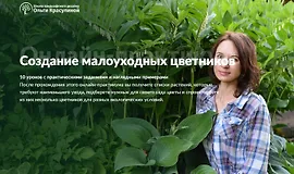 Создание малоуходных цветников