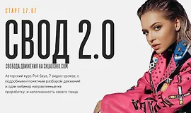 Свобода движения 2.0 (СВОД 2.0)