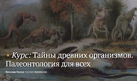 Тайны древних организмов. Палеонтология для всех logo