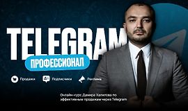 Telegram Профессионал logo