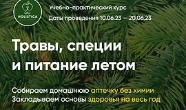 Травы, специи и питание летом