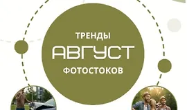 Тренды фотостоков (август 2025) + Книга низкочастотных запросов Вектор + Видео+ Золотая тысяча. Том 4