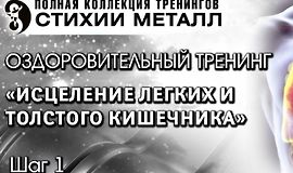 Тренинг «Стихия Металл‎». Шаг №1. Исцеление легких и толстого кишечника logo