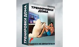 Тренировки дома без оборудования