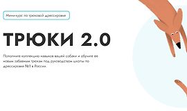 Трюки 2.0 logo