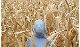 Учимся снимать и обрабатывать как Уэс Андерсен