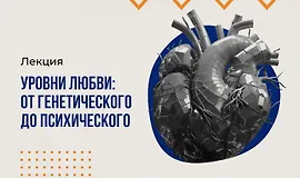 Уровни любви от генетического до психического