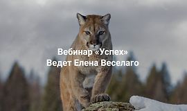 Успех logo