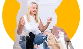 Вебинар Манипуляции