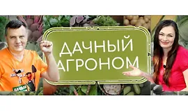 Видеоуроки Розы