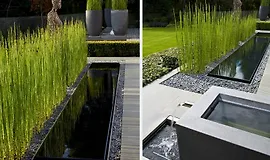 Вода в вашем саду: все, что нужно знать для создания искусственного источника