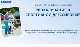 Вокализация в спортивной дрессировке