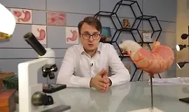 Воспаленный кишечник