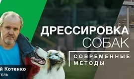 Воспитание щенка. Дрессировка собаки